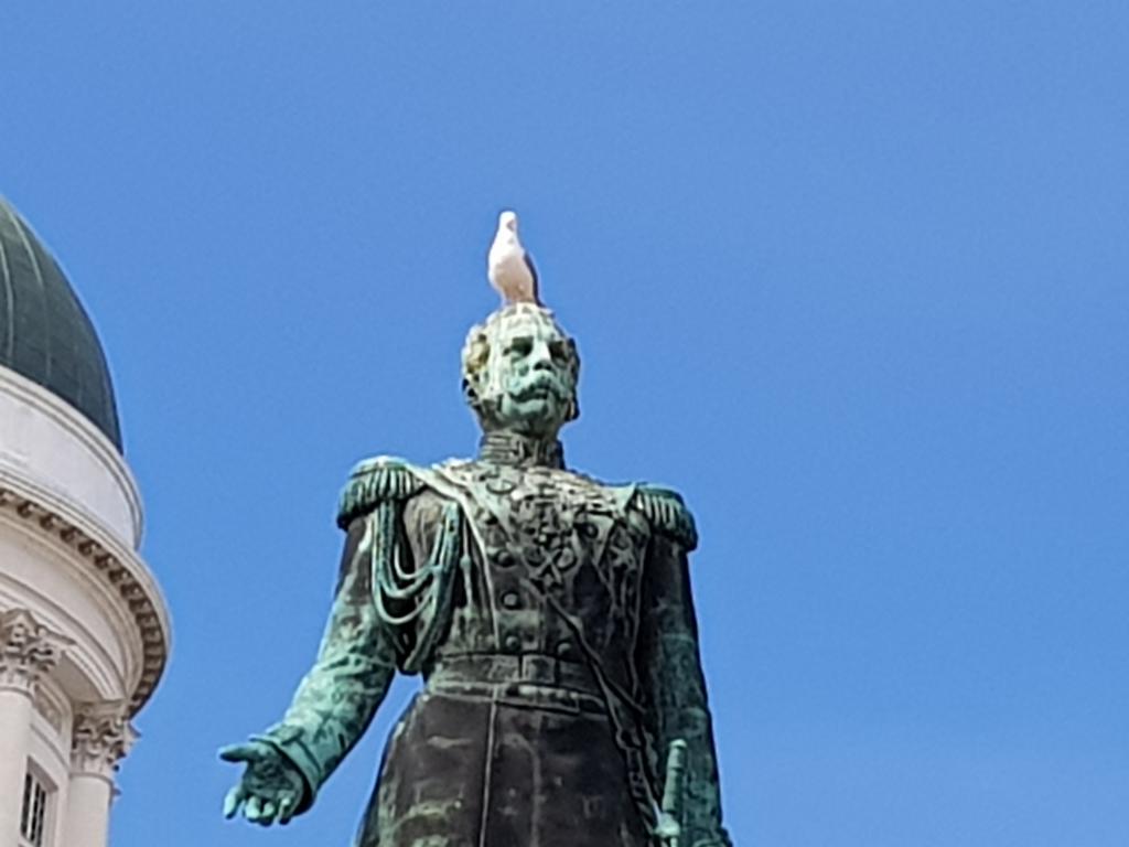 Angry bird shitting on Alexander the second in Senate Square, Helsinki 怒鸟把牙膏挤在亚历山大二世头上