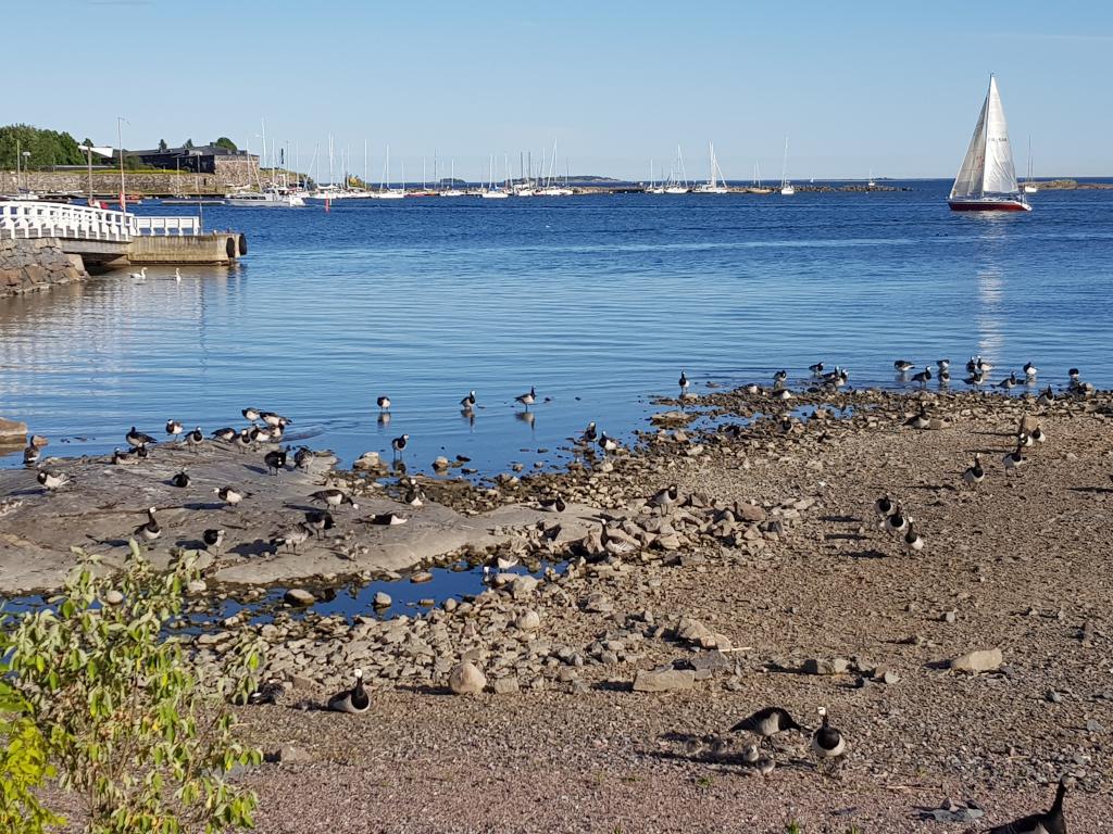 Calm water on the seafront, Helsinki 赫尔辛基宁静海滩