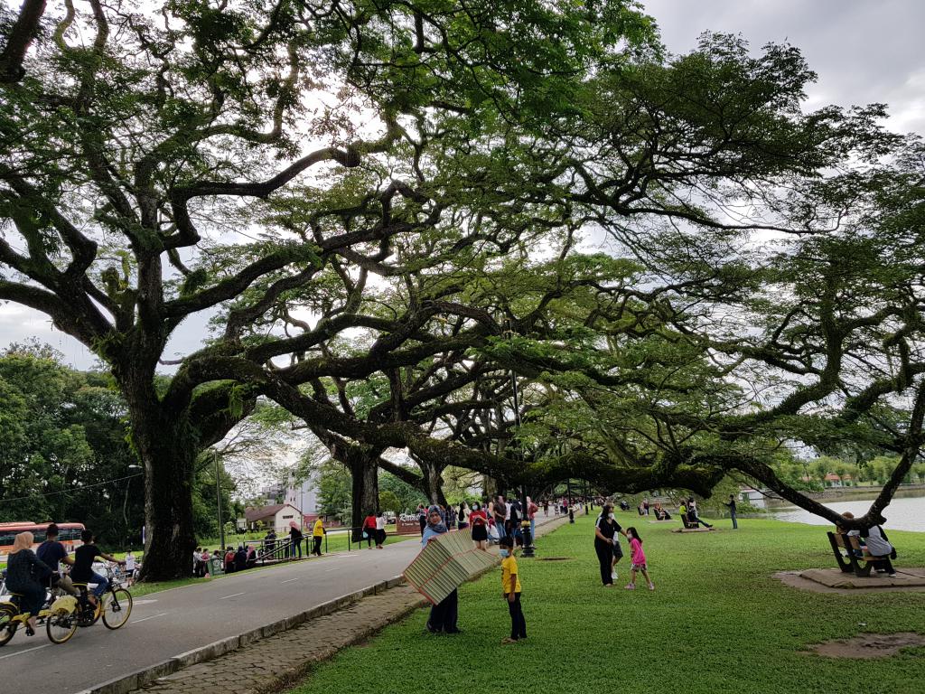 Taiping Lake Garden 太平湖公园 