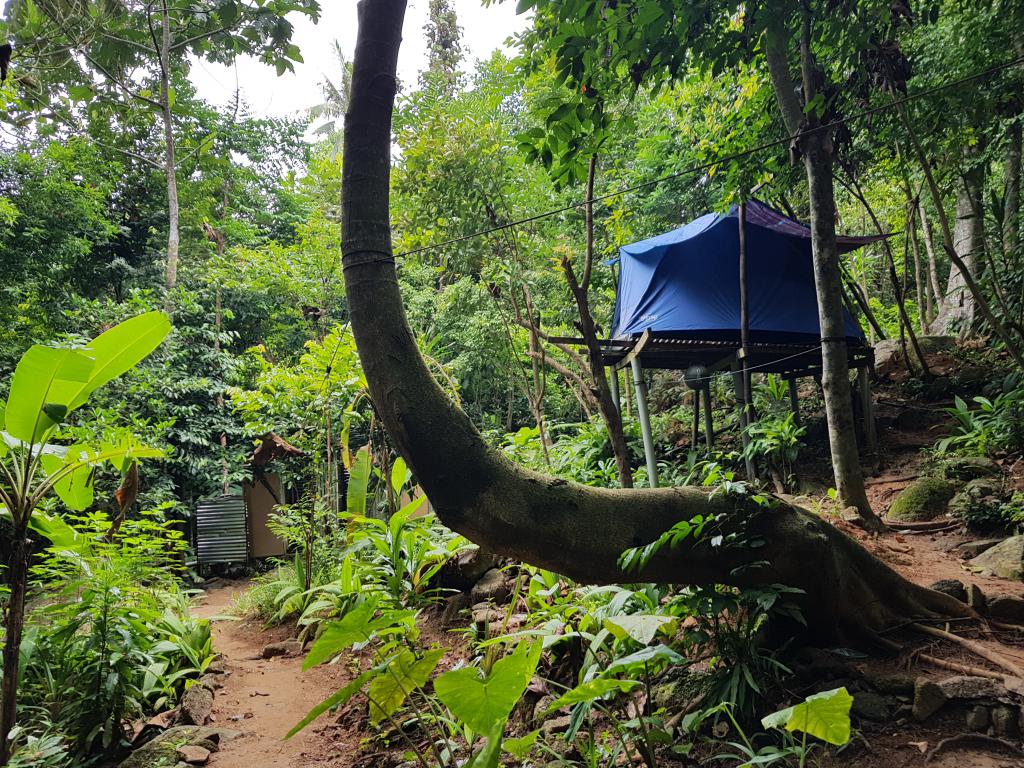 Camp site 深林里豪华住宿