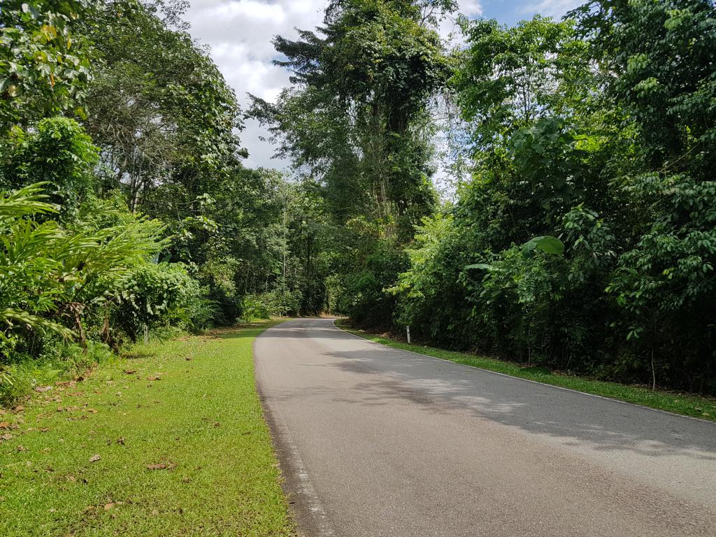 The old trunk road from Kuantan back to Kuala Lumpur 关丹回吉隆坡老主干道