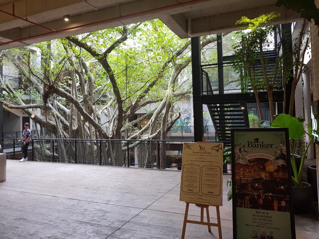 Big tree in the atrium of a boutique restaurant mall in city center 市中心餐厅商城中庭大树