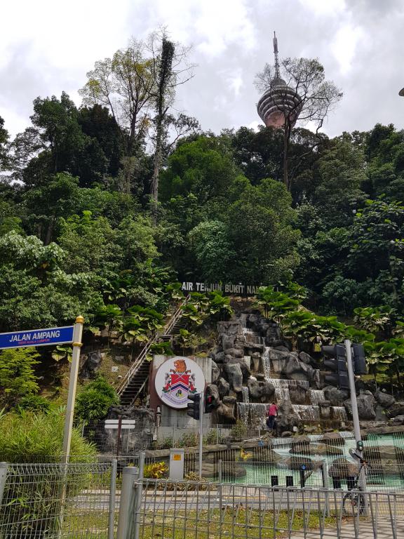 Hiking in the city center at Bukit Nanas 市内爬山，Bukit Nanas 