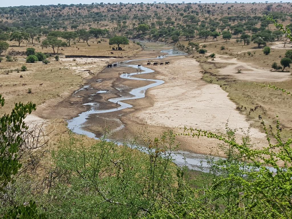 Serengeti, Tanzania 坦桑尼亚塞伦盖蒂