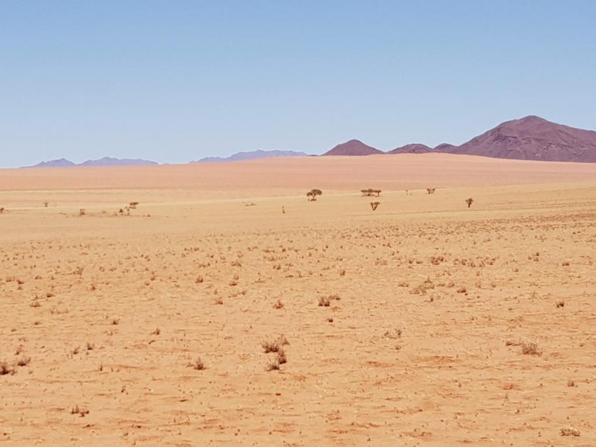 Can desert be purplish, pink and orange? 沙漠有可能又紫又橙又粉吗 