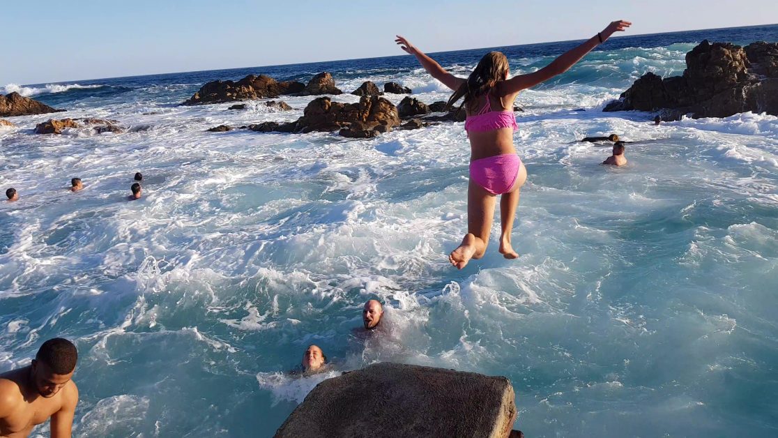 They dived into the tidal pool, undeterred