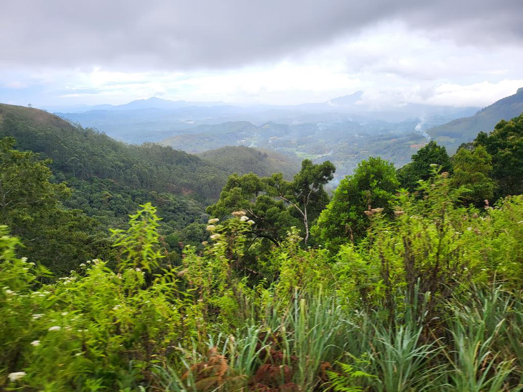 Scenery on the train between Kandy and Ella