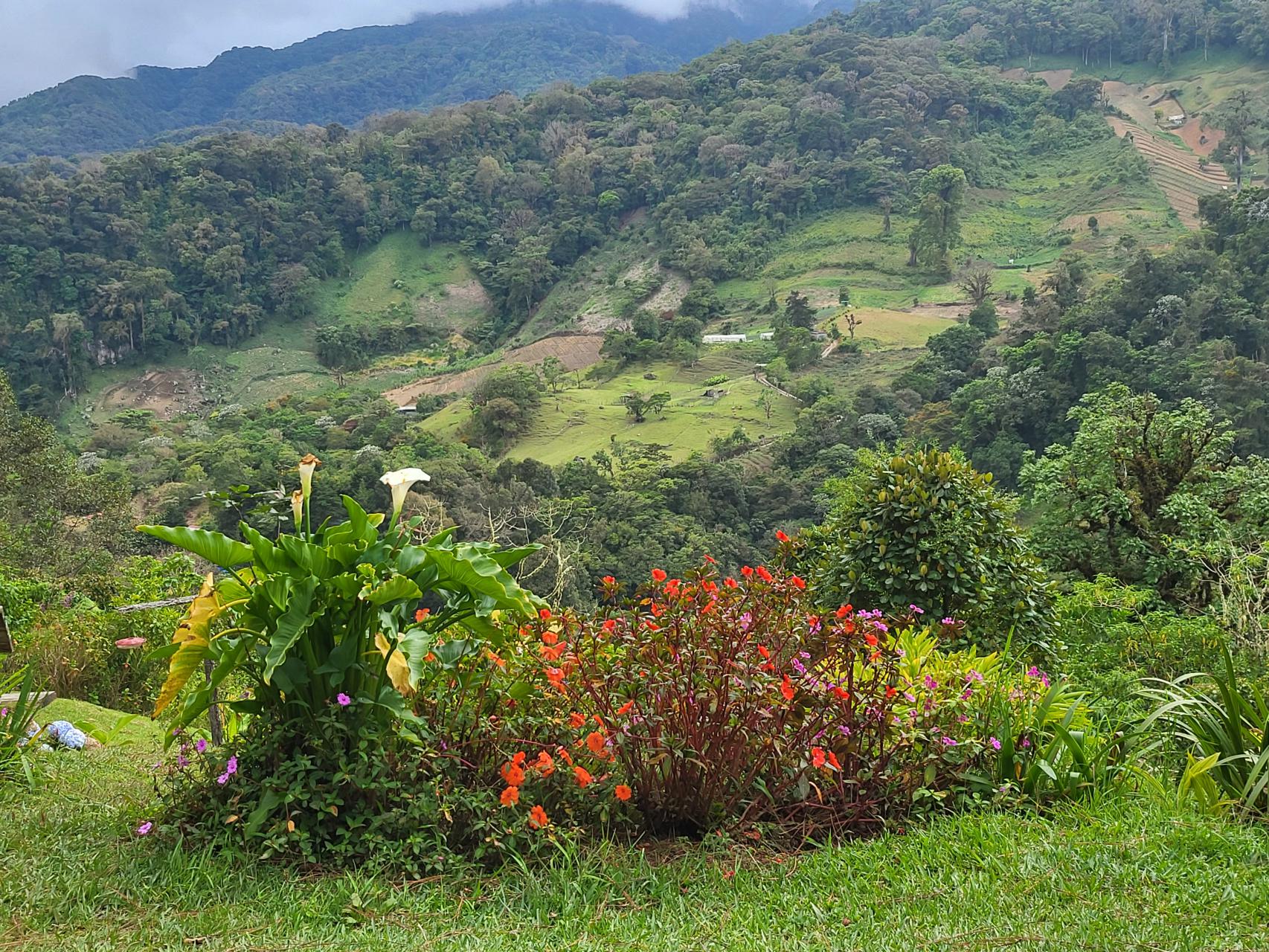 A lookout view on the hiking trail