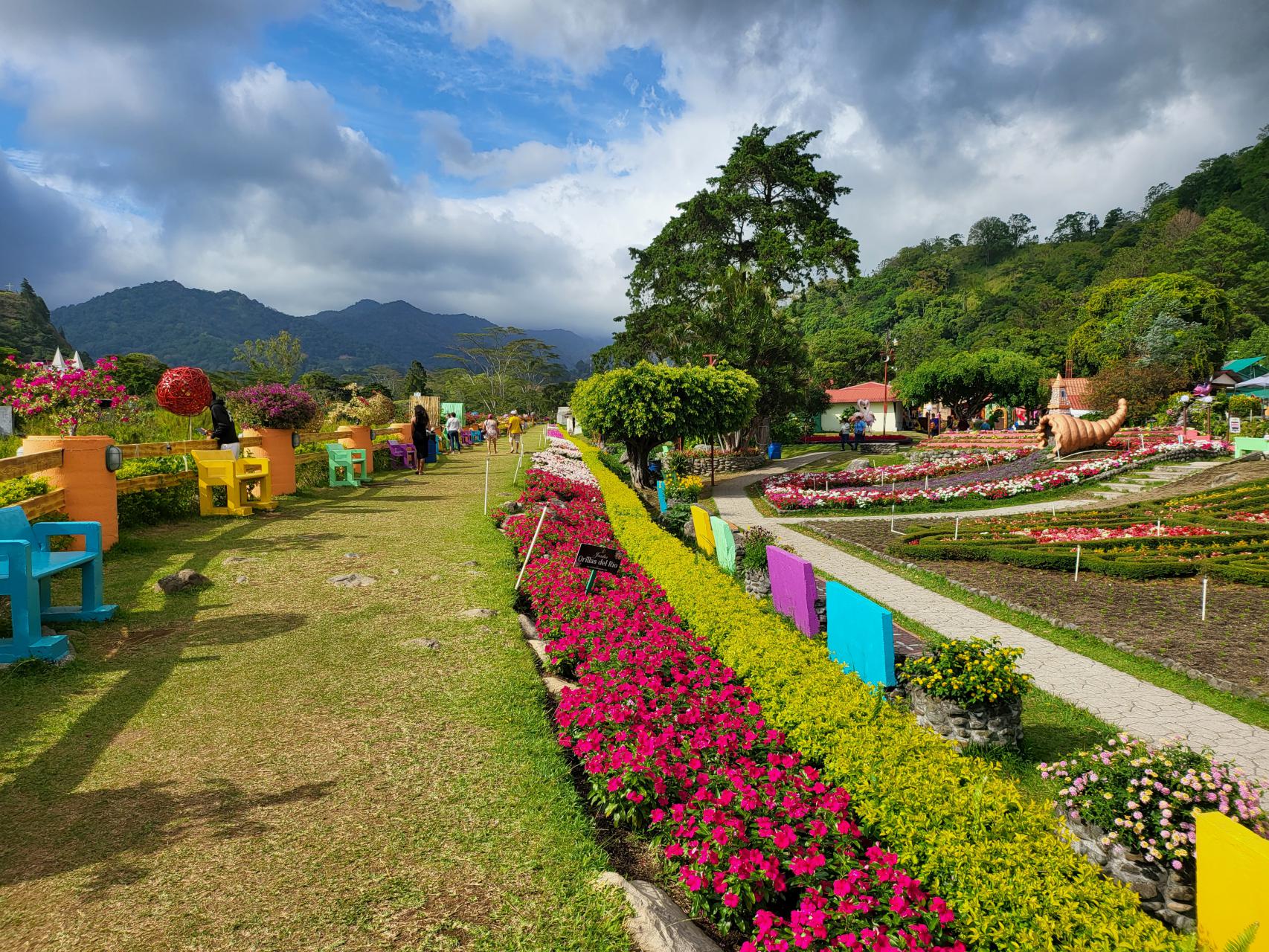 Flowers blooming with vibrant colors