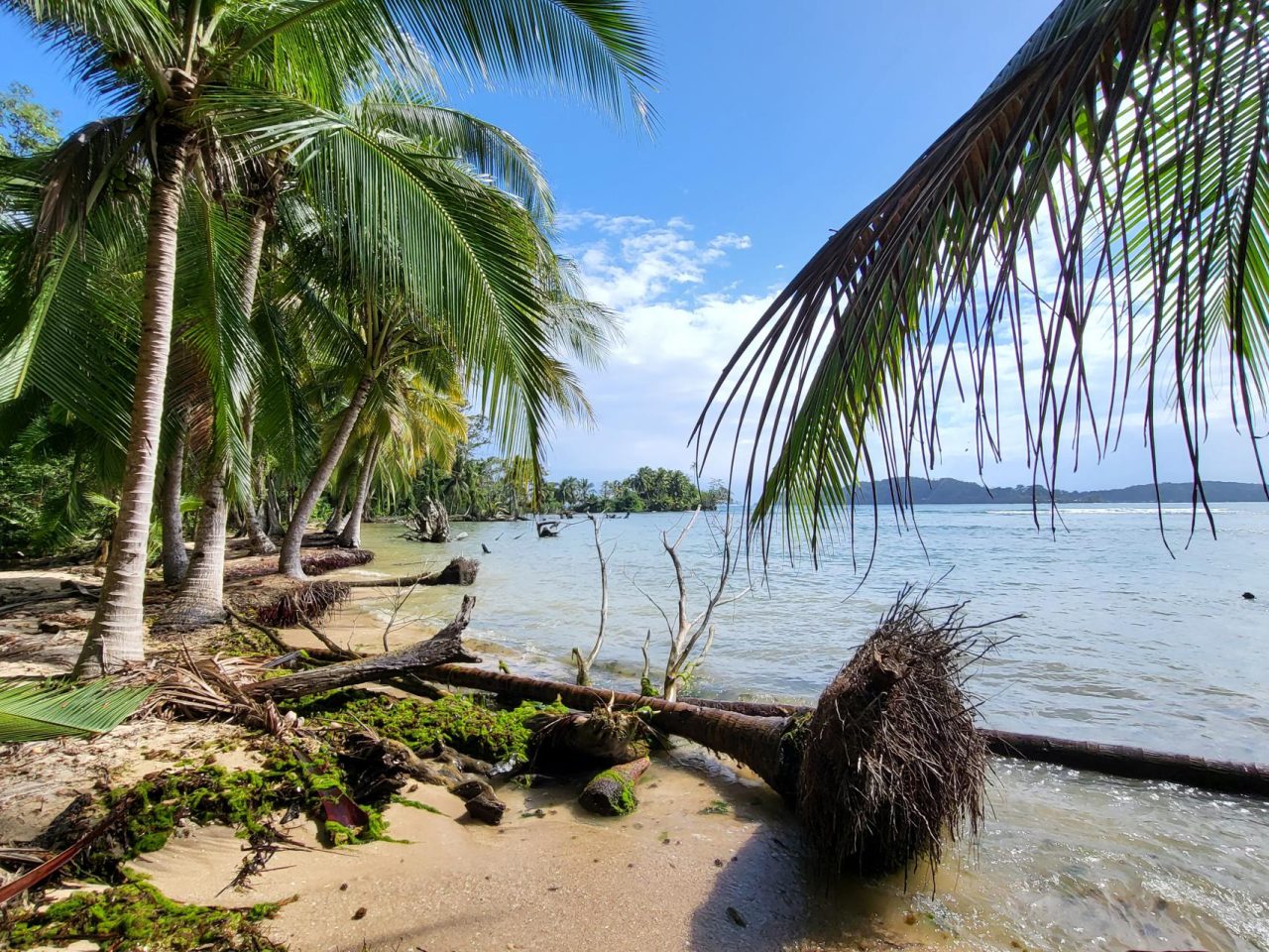 Carenero Island