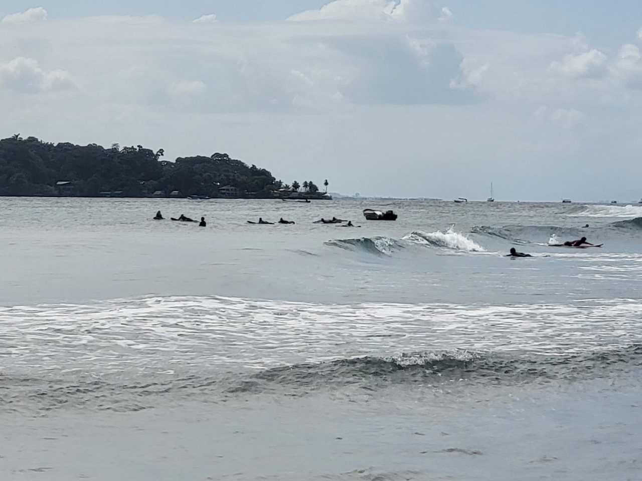 Surfers out in the sea trying to catch the elusive waves