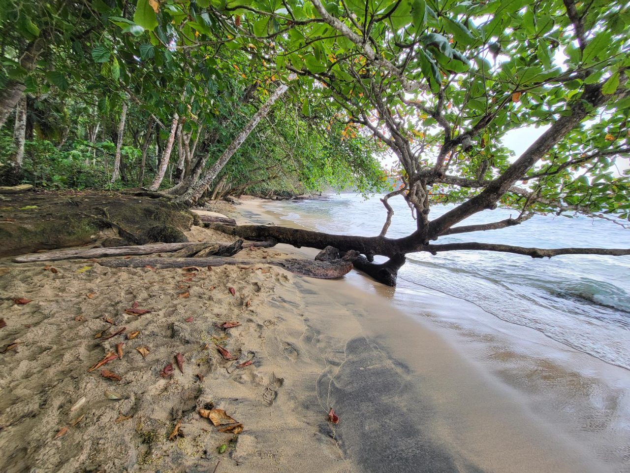 Playa Paulo Mena