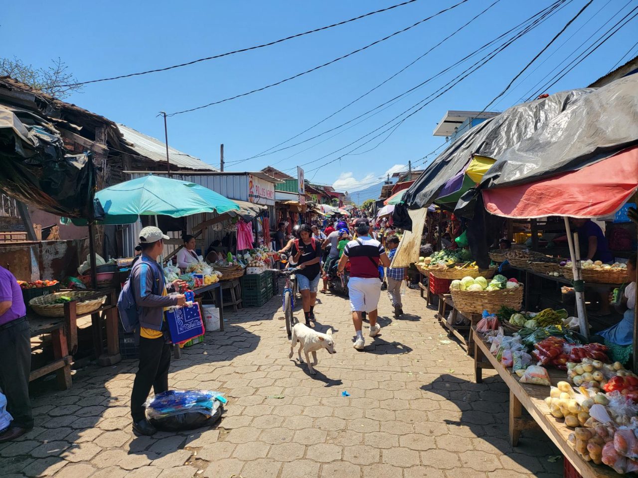 Outdoor market in Granada, Nicaragua