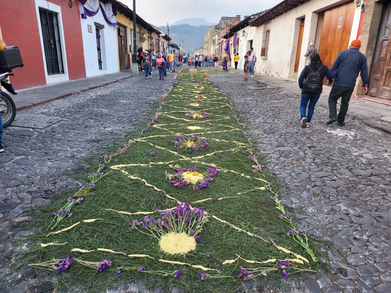 Alfrombras for Semana Santa procession