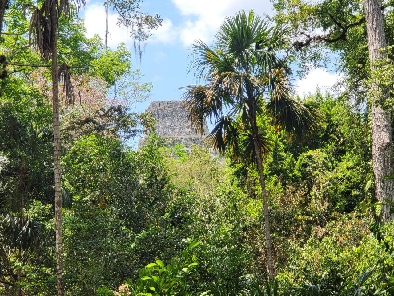 Temple 4, Tikal