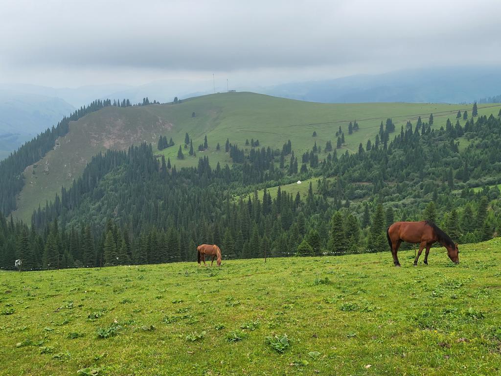 The slopes carpeted with lush green grass