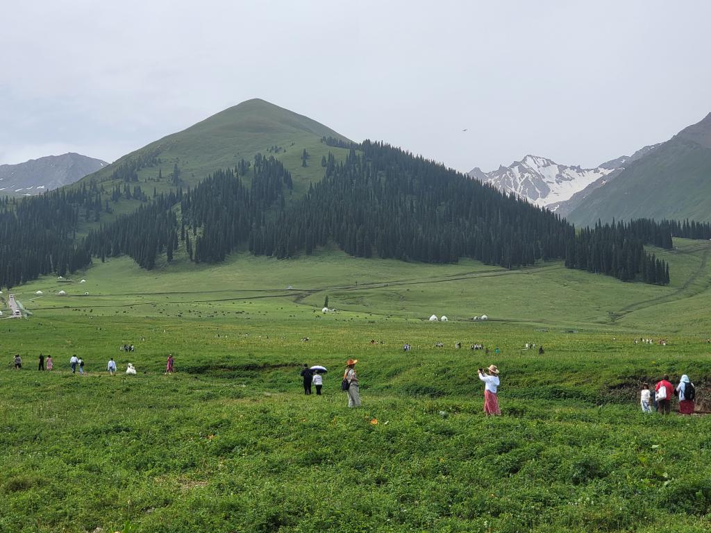 Nalati Grassland, snow-capped mountain in the background