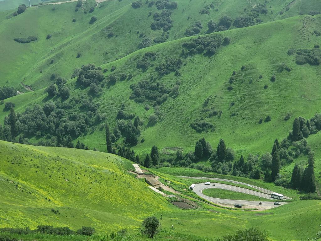 Winding roads climbing up and down the grass-carpeted mountains