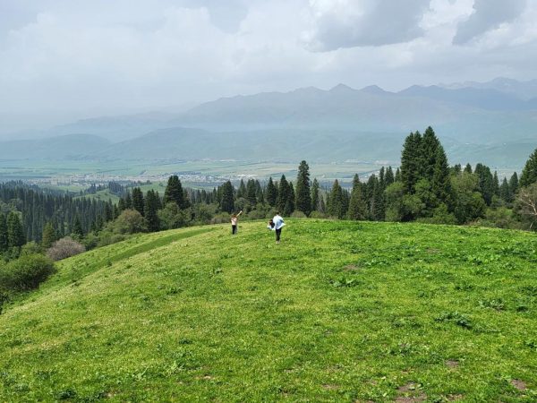 Nalati Grassland on the mountains overlooking the green valley below