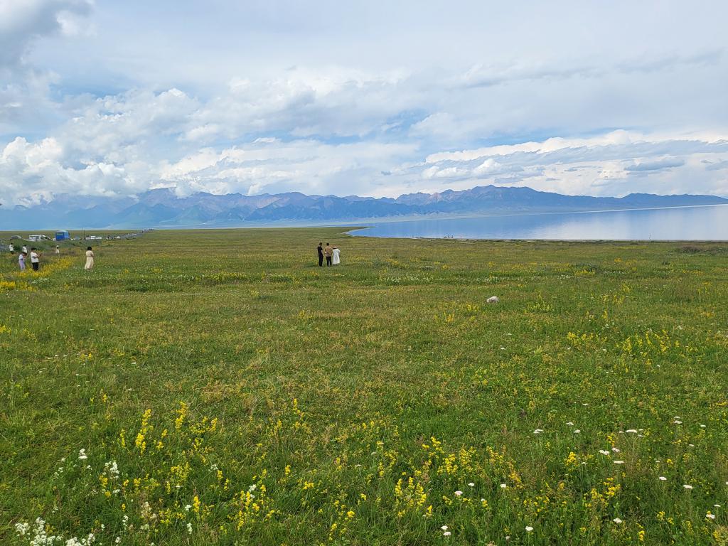 A beautiful grassland plain meeting the serene Sailimu Lake seamlessly