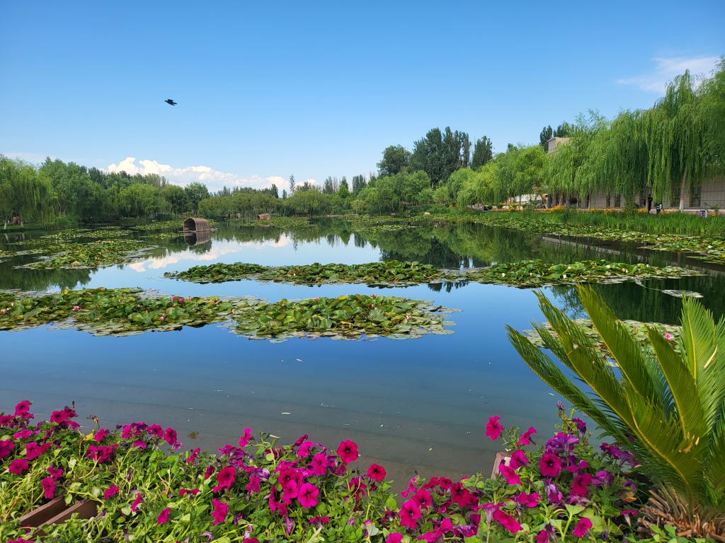 Han Ren Street Park