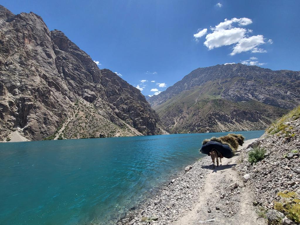 Donkeys working around Lake 7, of Seven Lakes