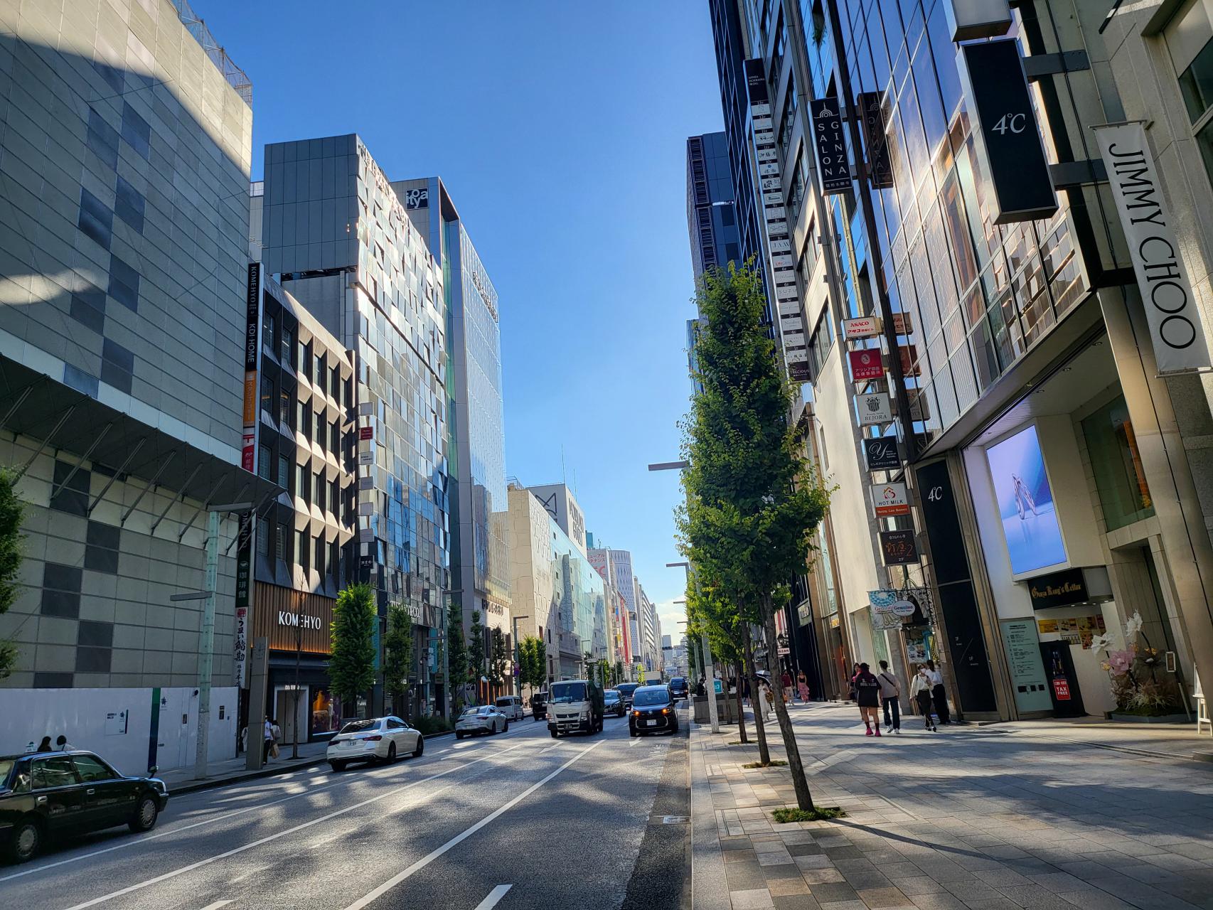 Posh Ginza Street