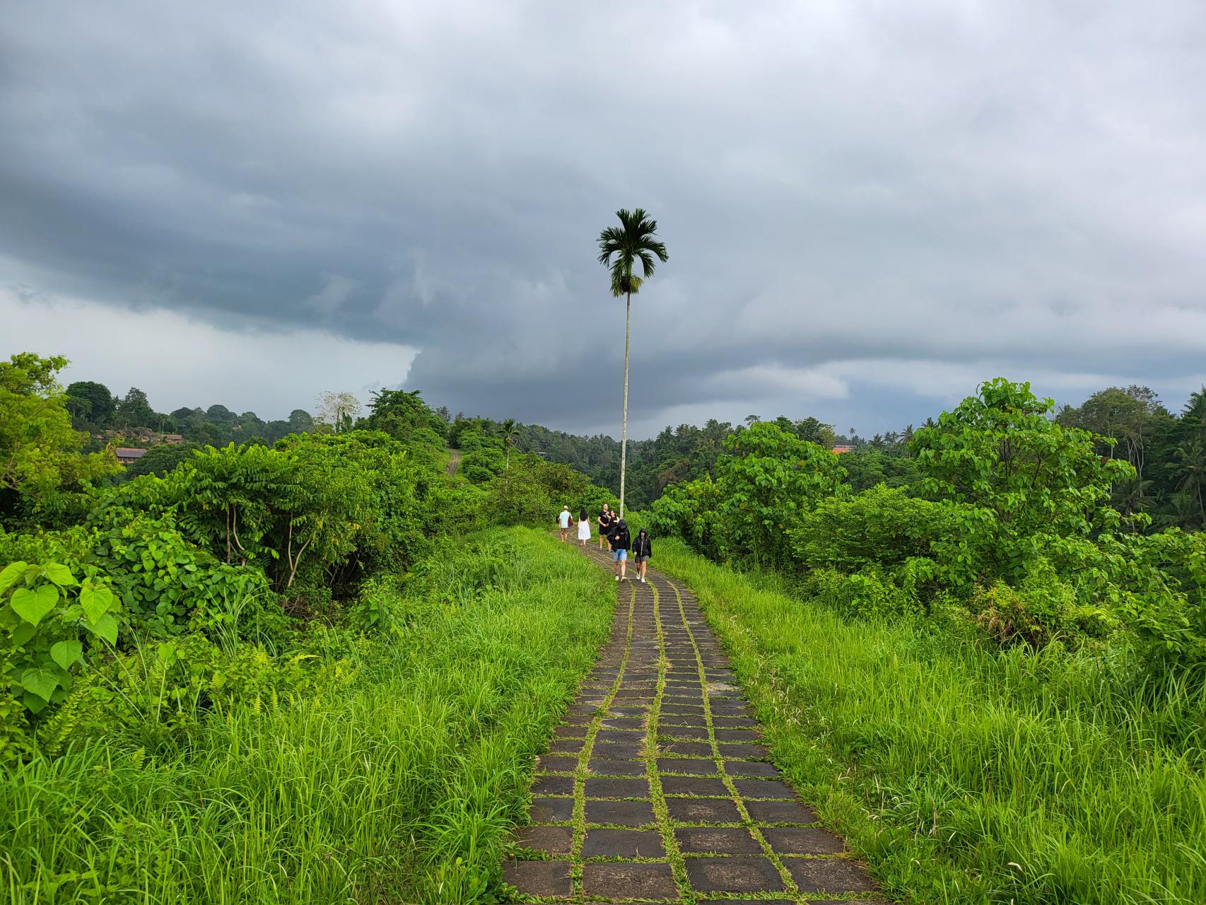 Campuhan Ridge Walk in Ubud, Bali