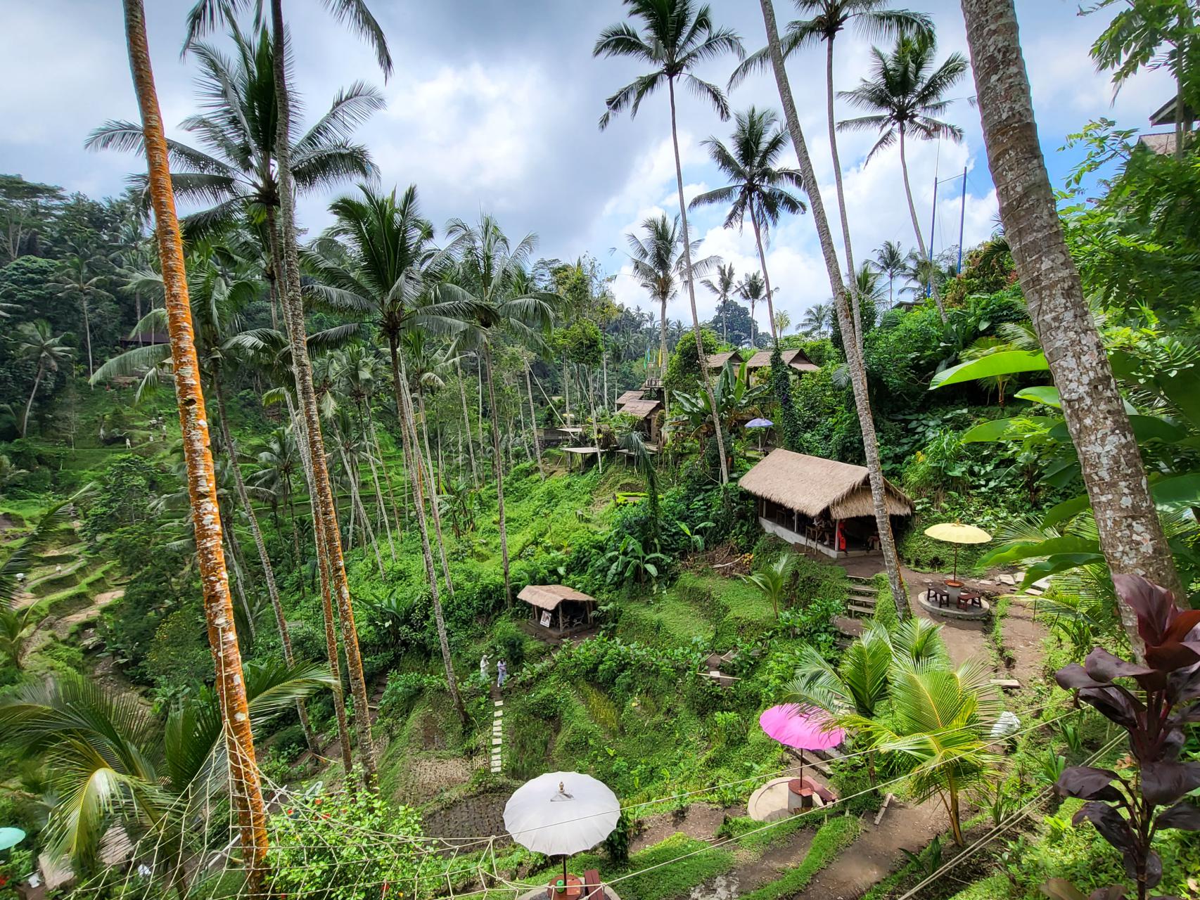 Tegallagang rice terraces, Ubud, Bali