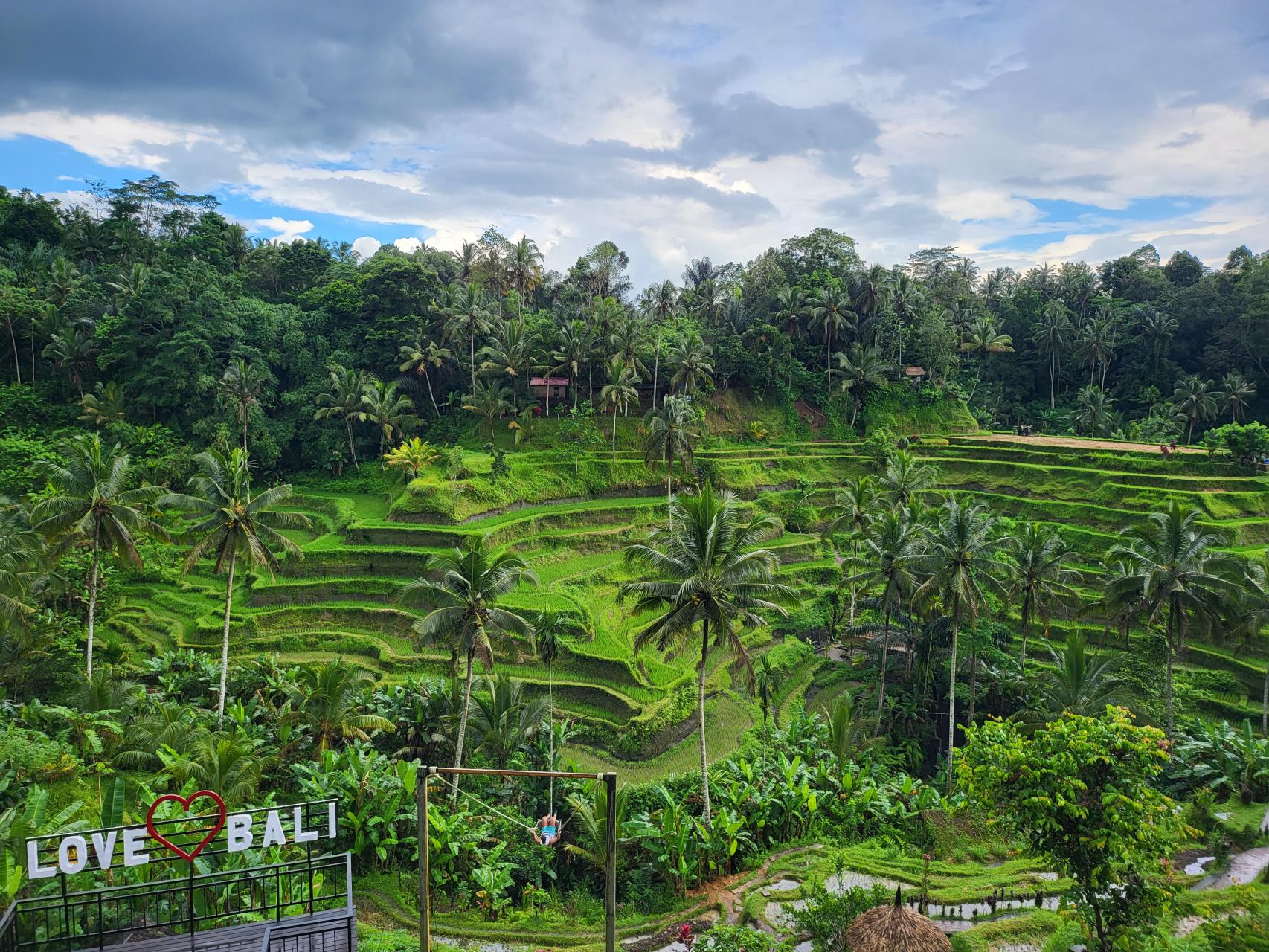 Tegallagang rice terraces, Ubud, Bali